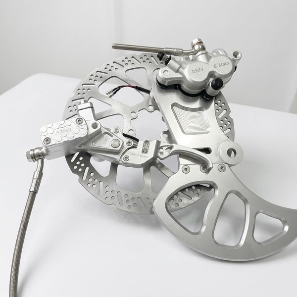 Dnis E-Moto Rear Brake Kit