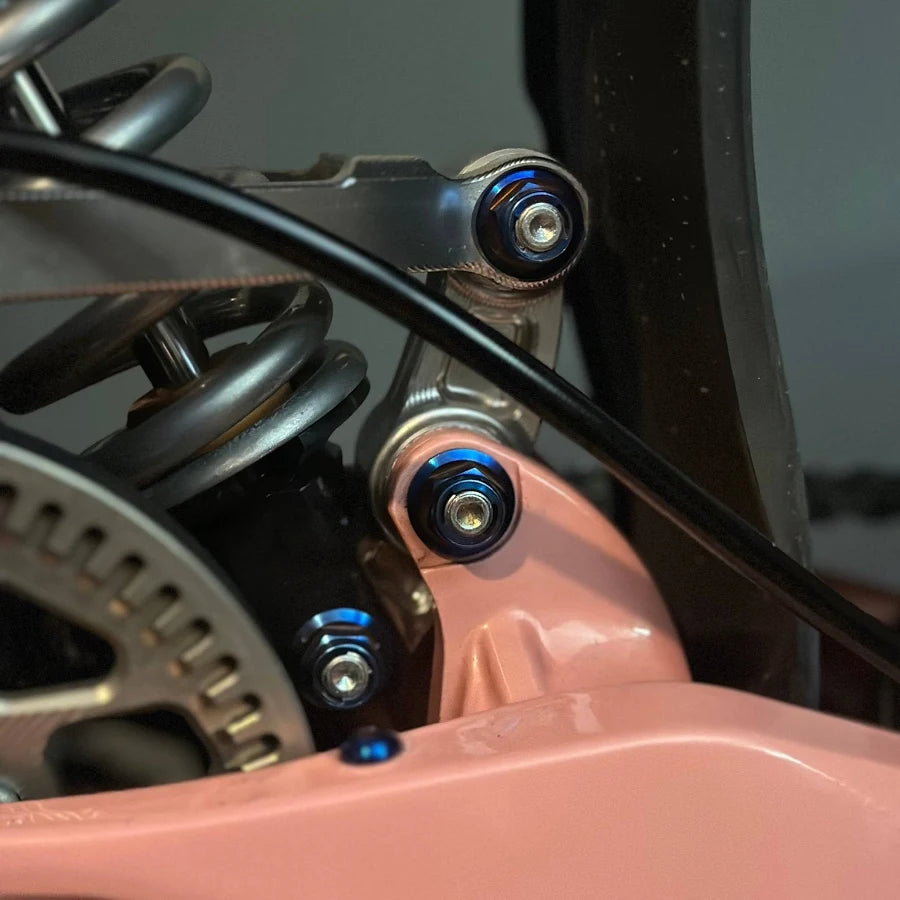 Titanium Linkage Bolt Kit for lbx